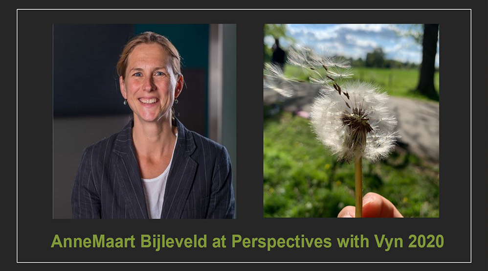 AnneMaart Perspectives with Vyn